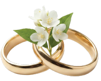 Anniversary & Wedding